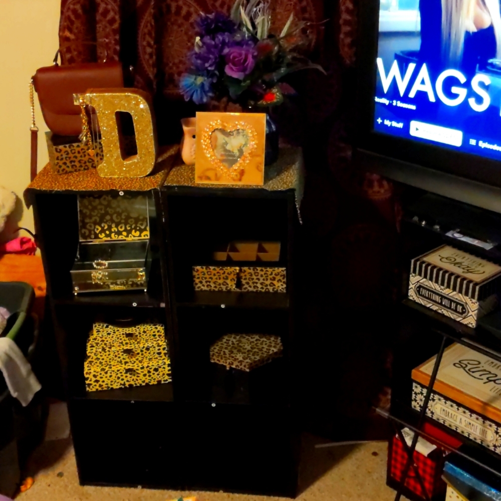 Storage shelves and boxes as well as dkny purse and matching wallet brand new